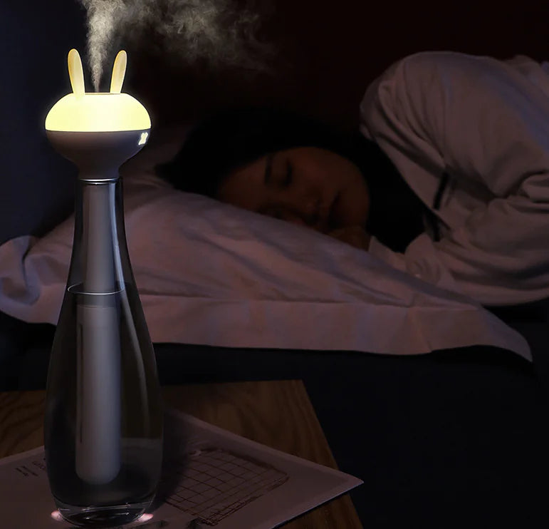 Portable USB Mini Humidifier with Cute Design